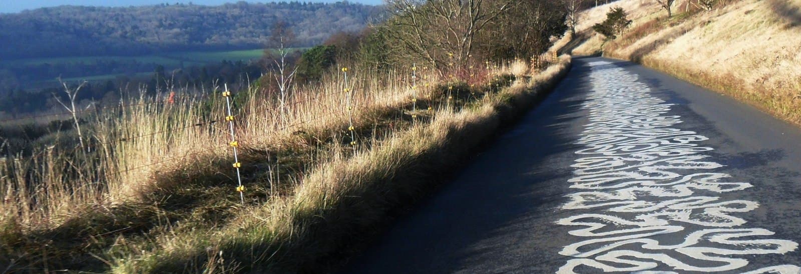 Box Hill photo
