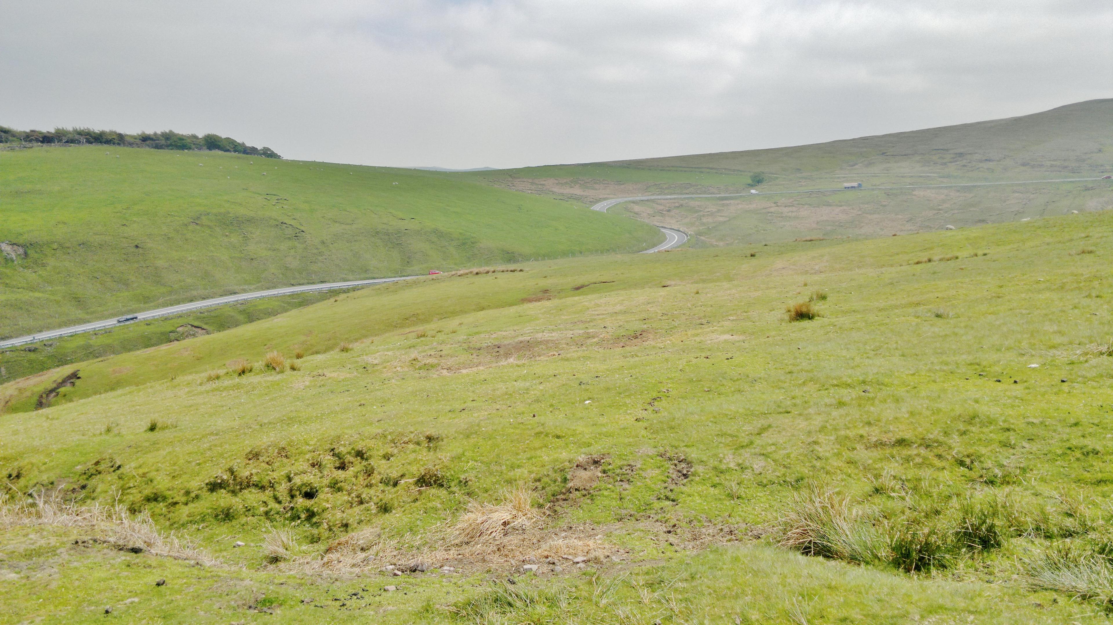 Cat and Fiddle