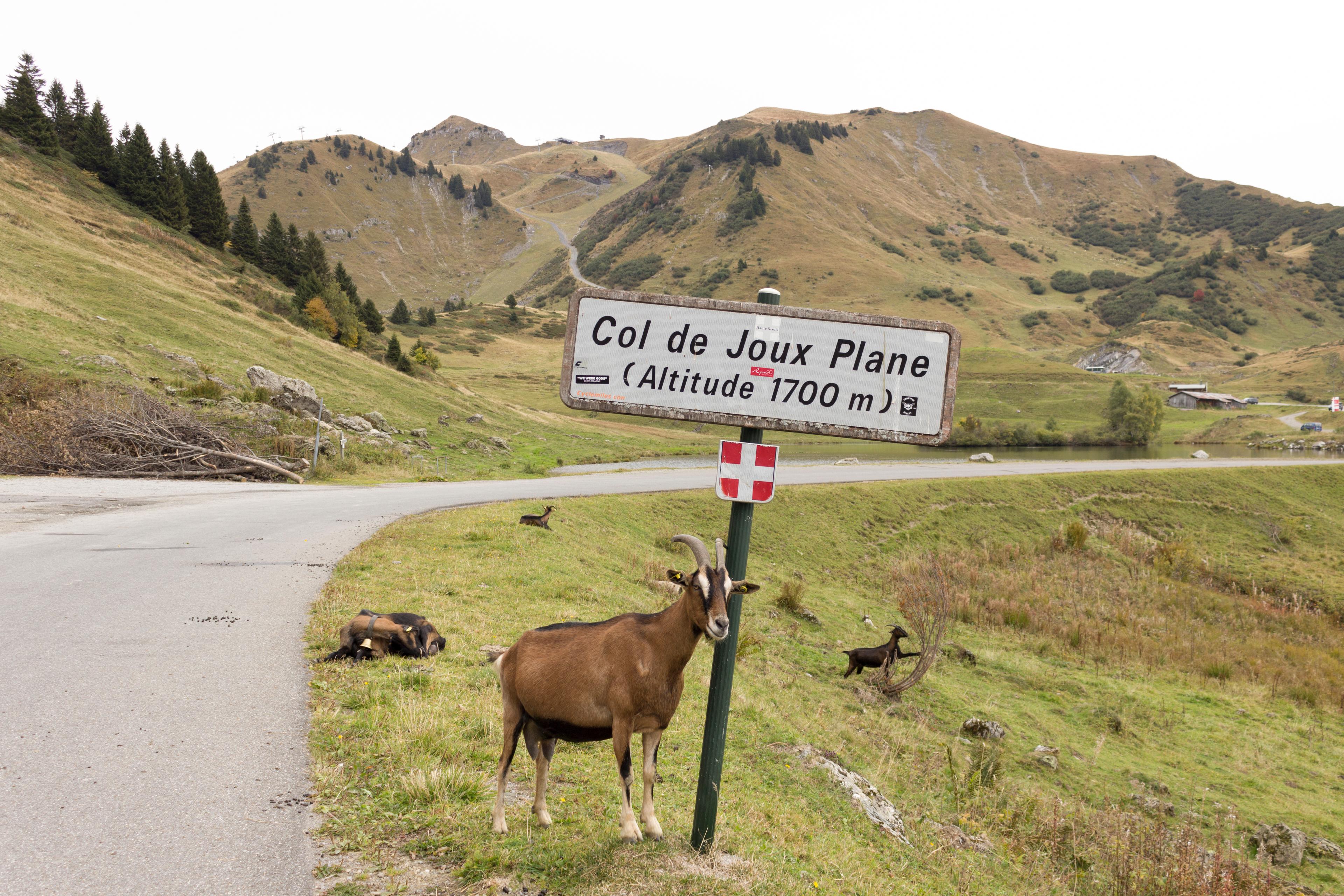 Col de Joux Plane photo