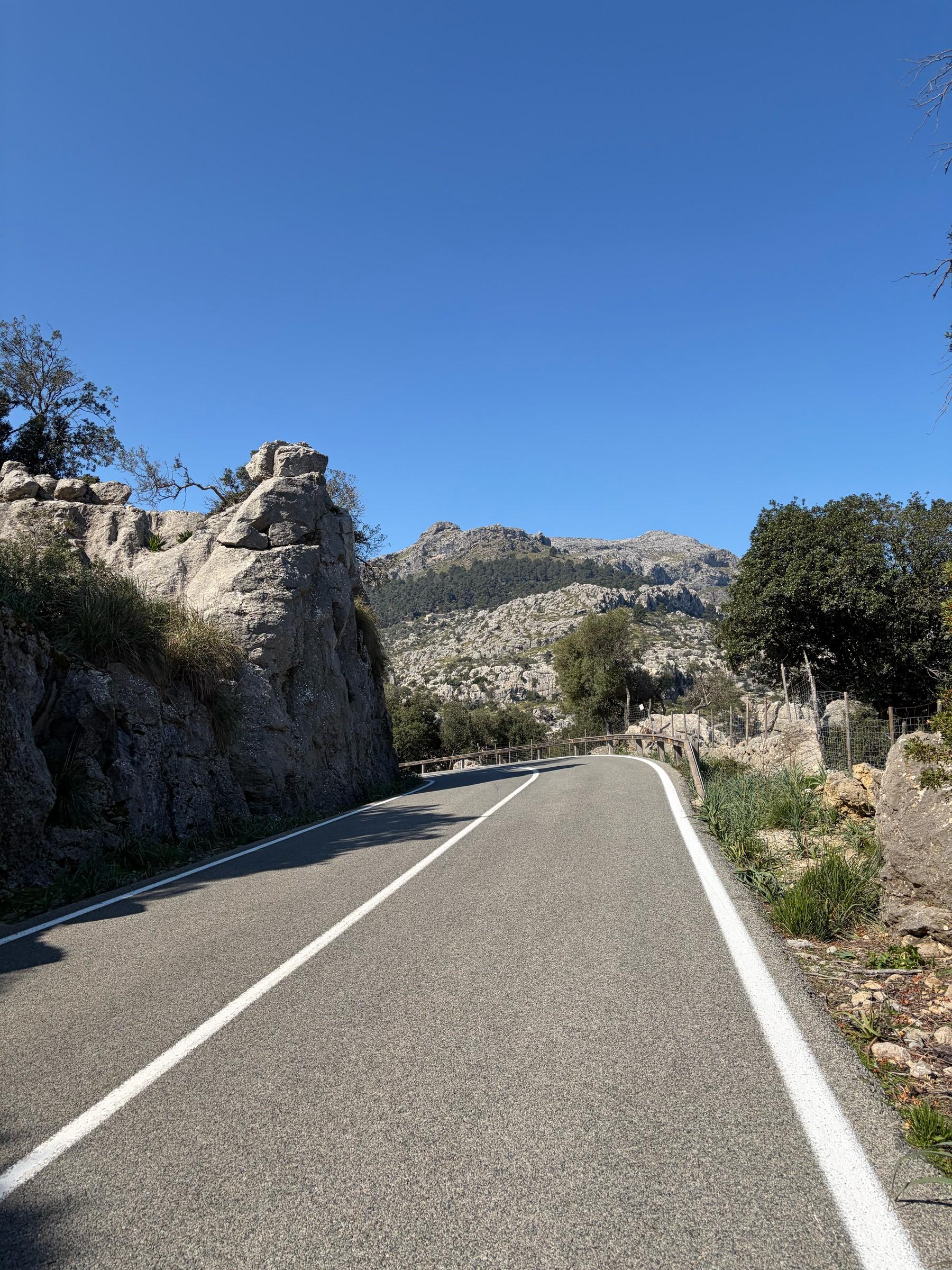 Coll de Femenia photo