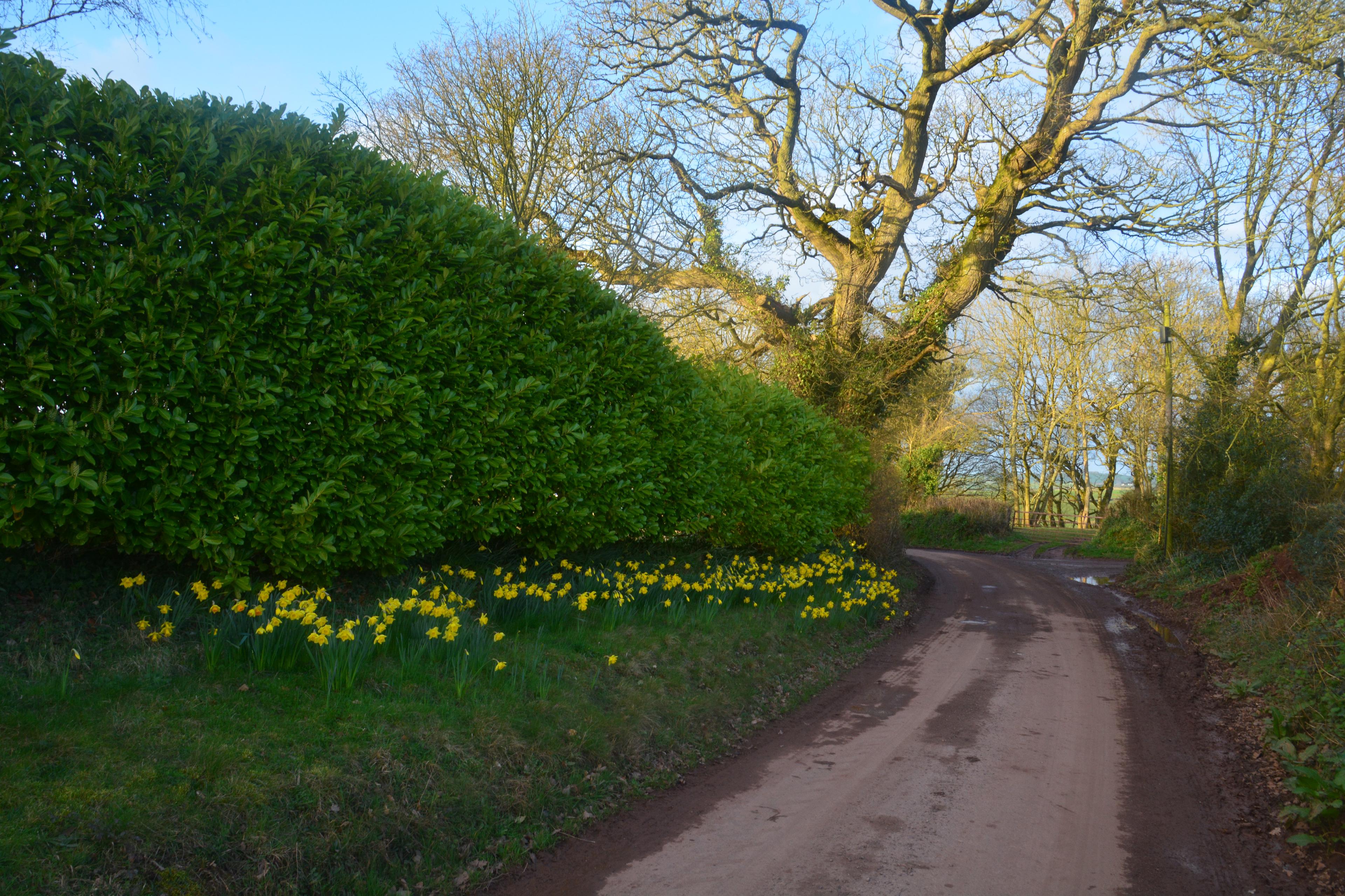 Dover's Hill photo