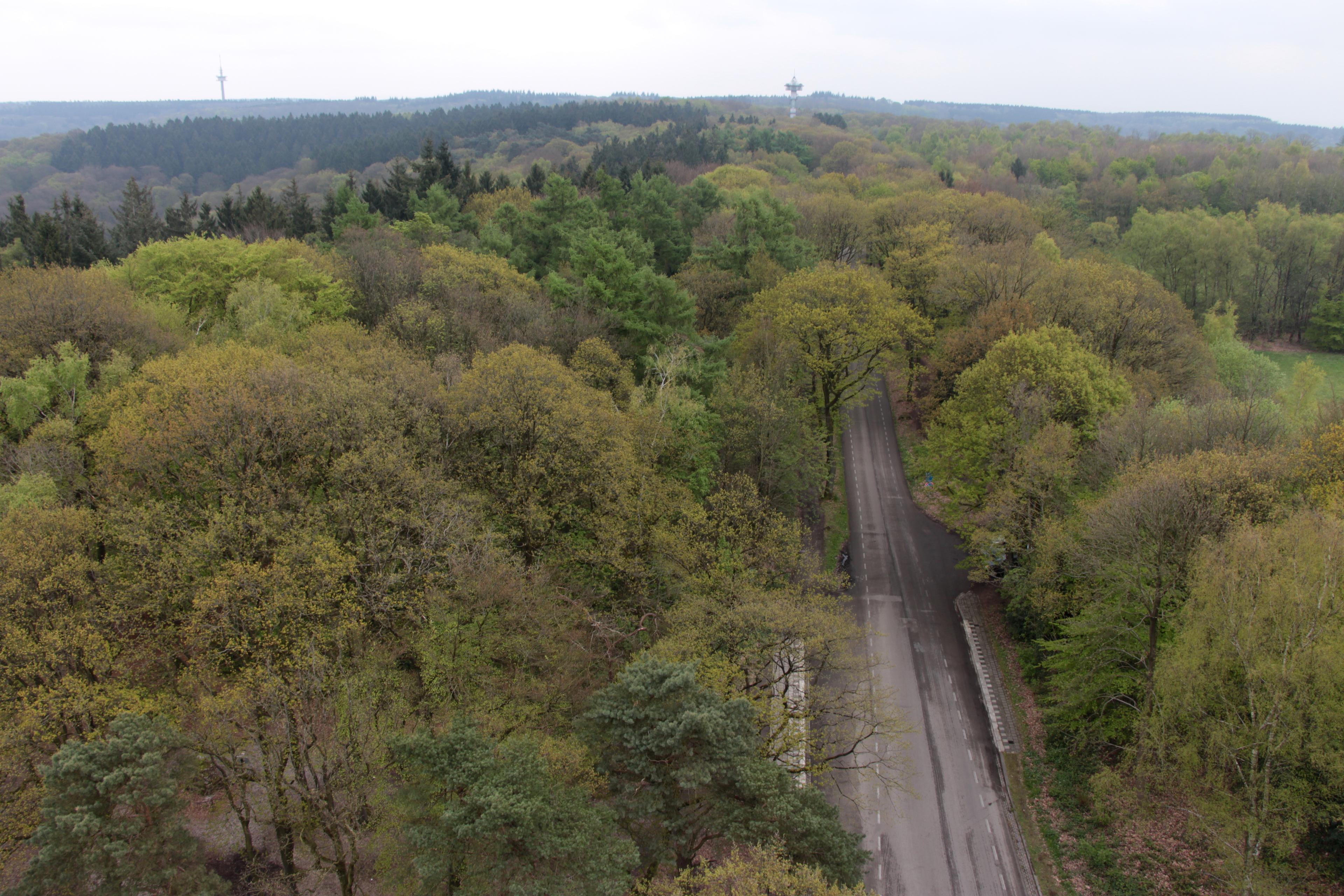 Drielandenpunt Vaalserberg photo