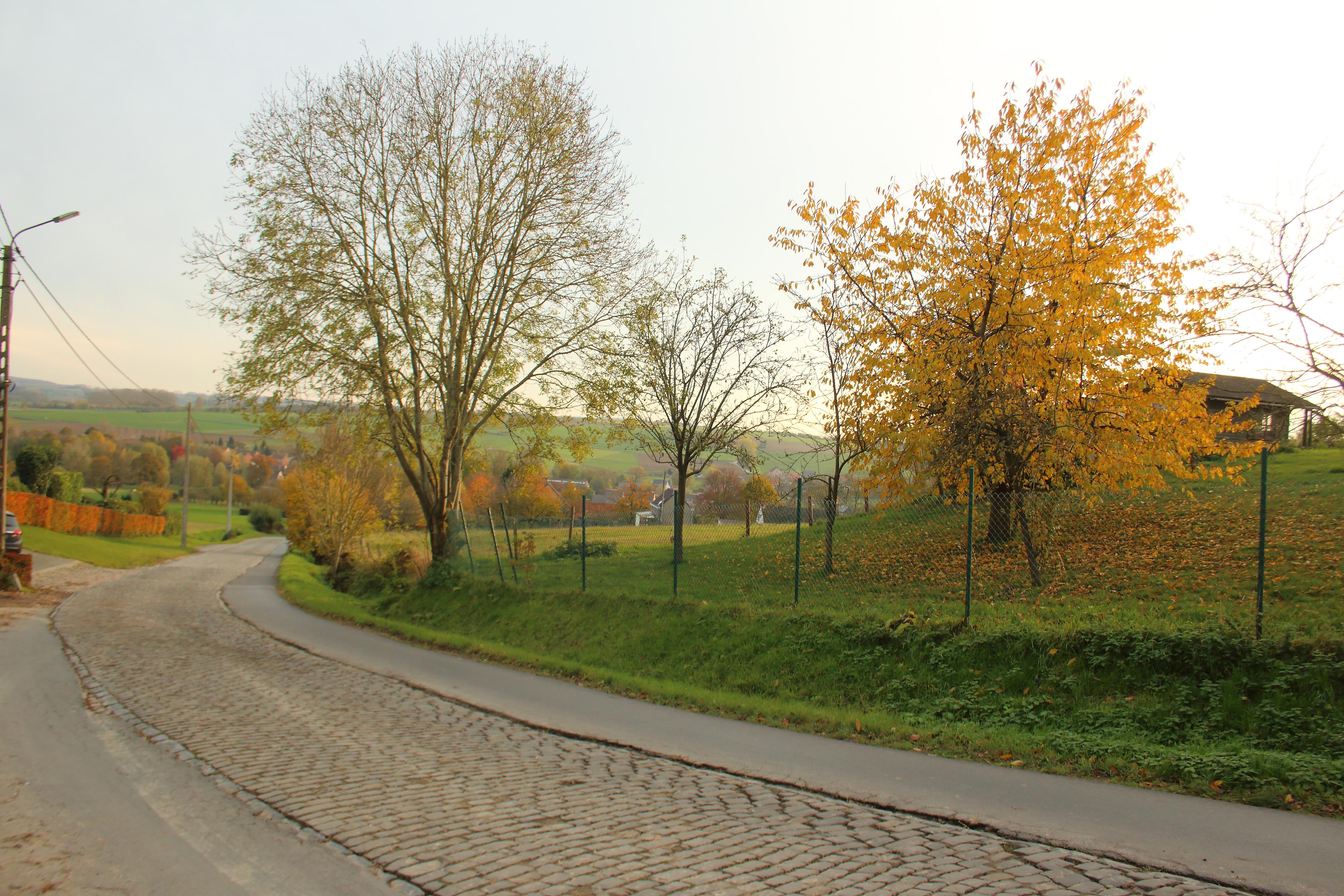 Eikenberg photo