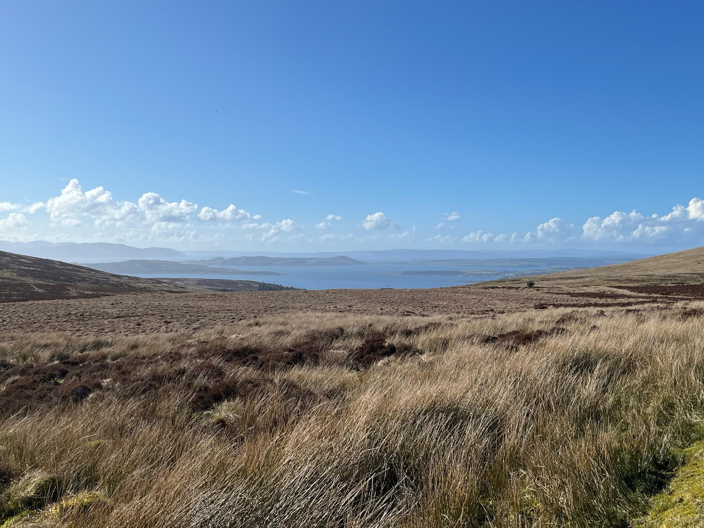 Fairlie Moor