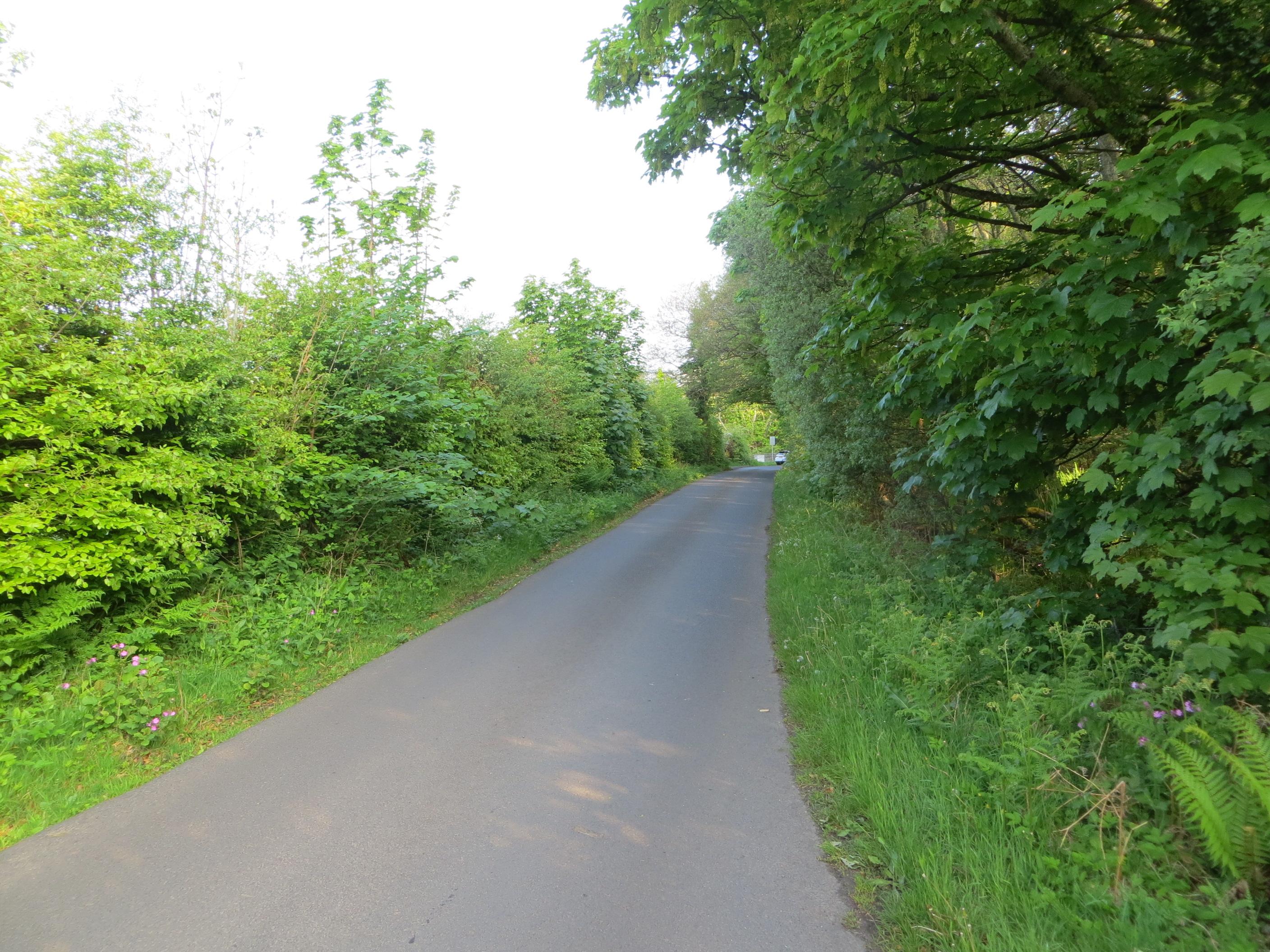 Fairlie Moor photo