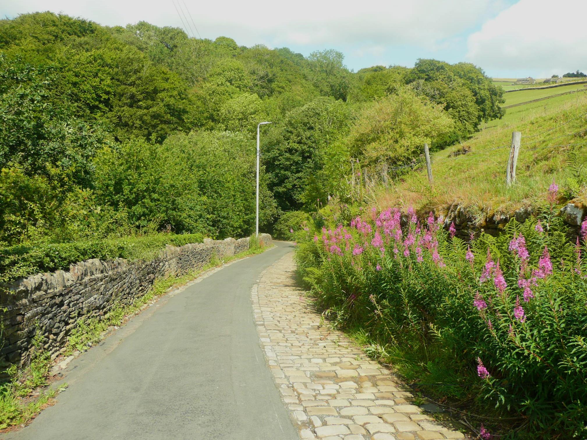 Halifax Lane