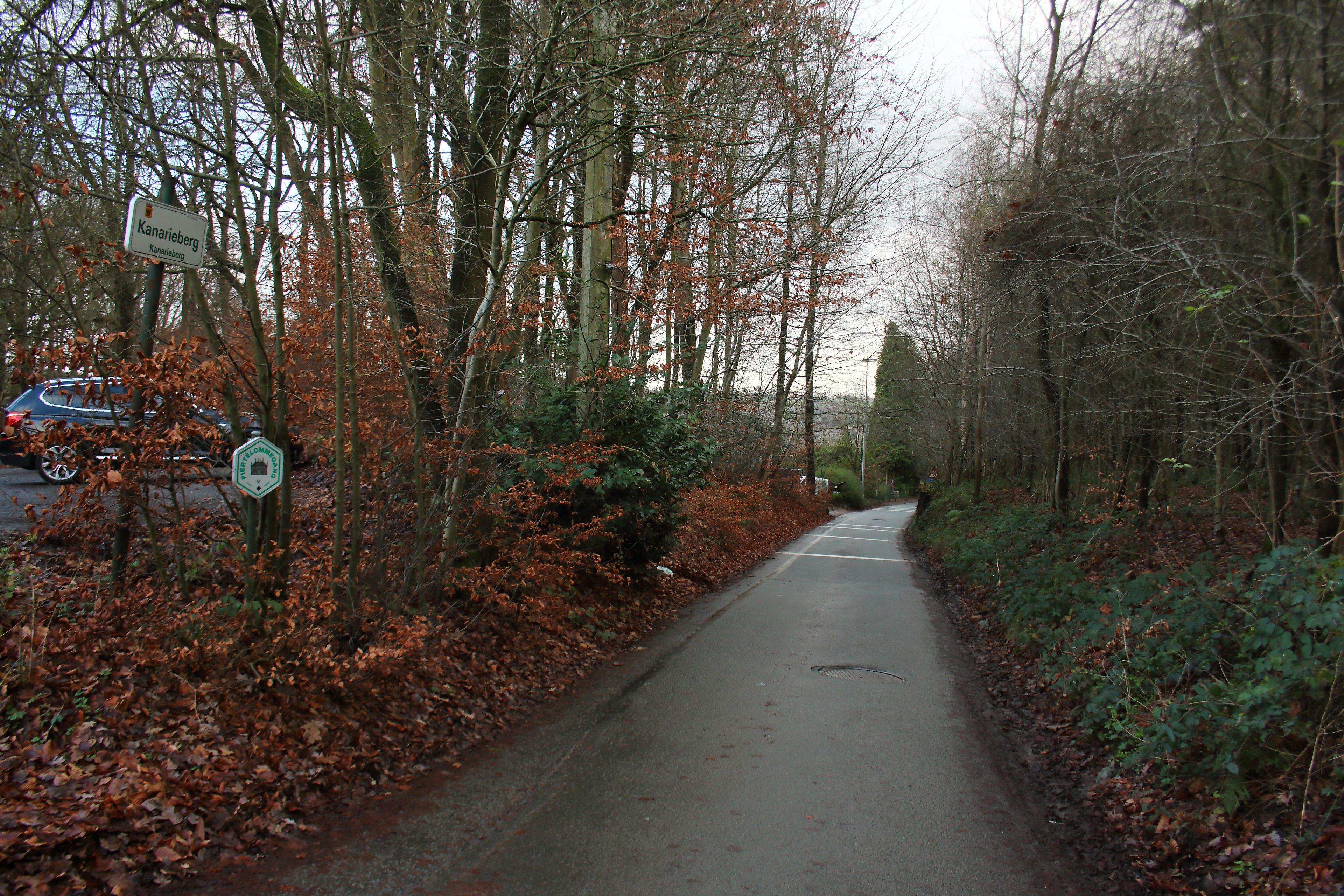Kanarieberg