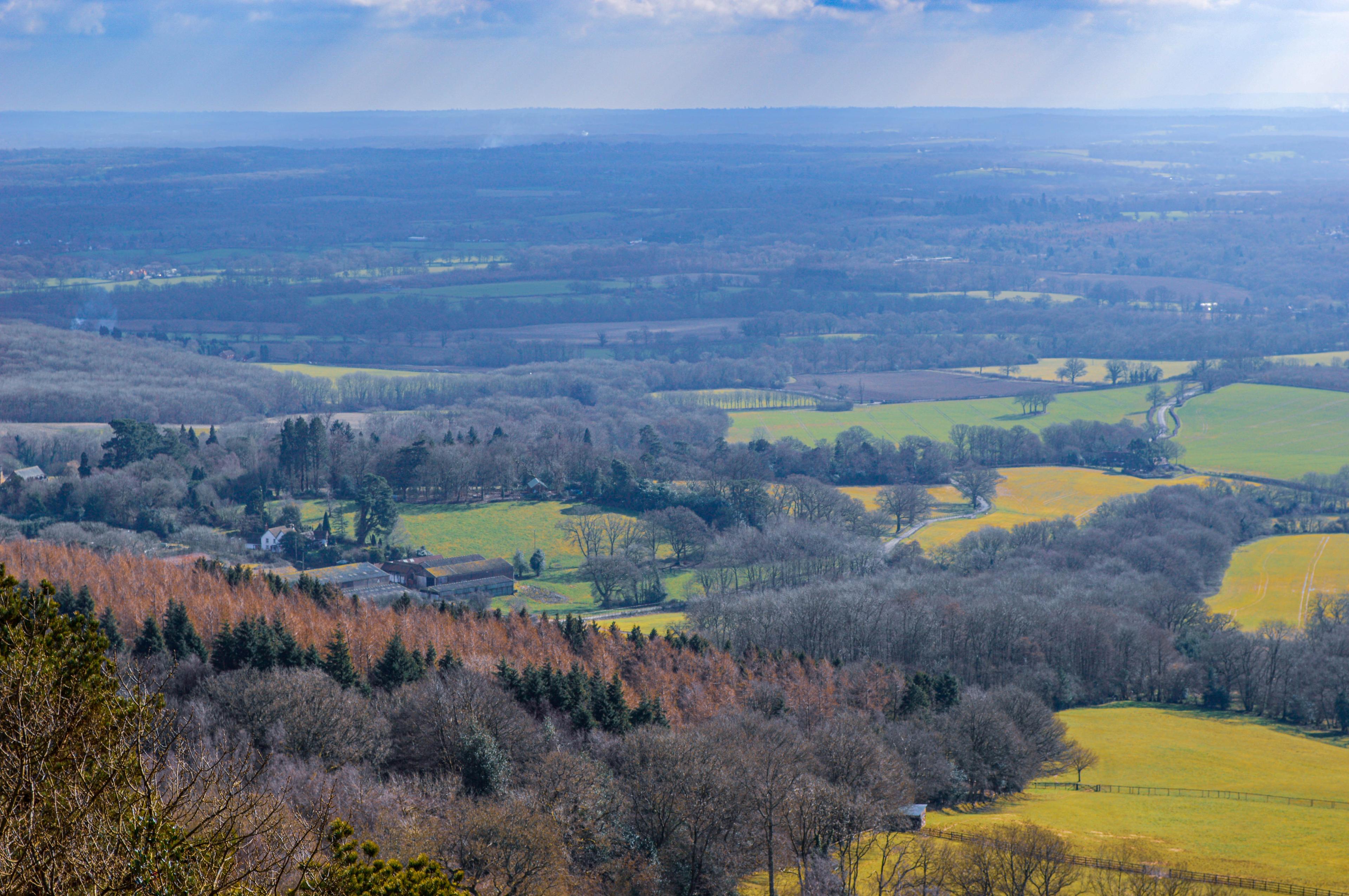 Leith Hill photo