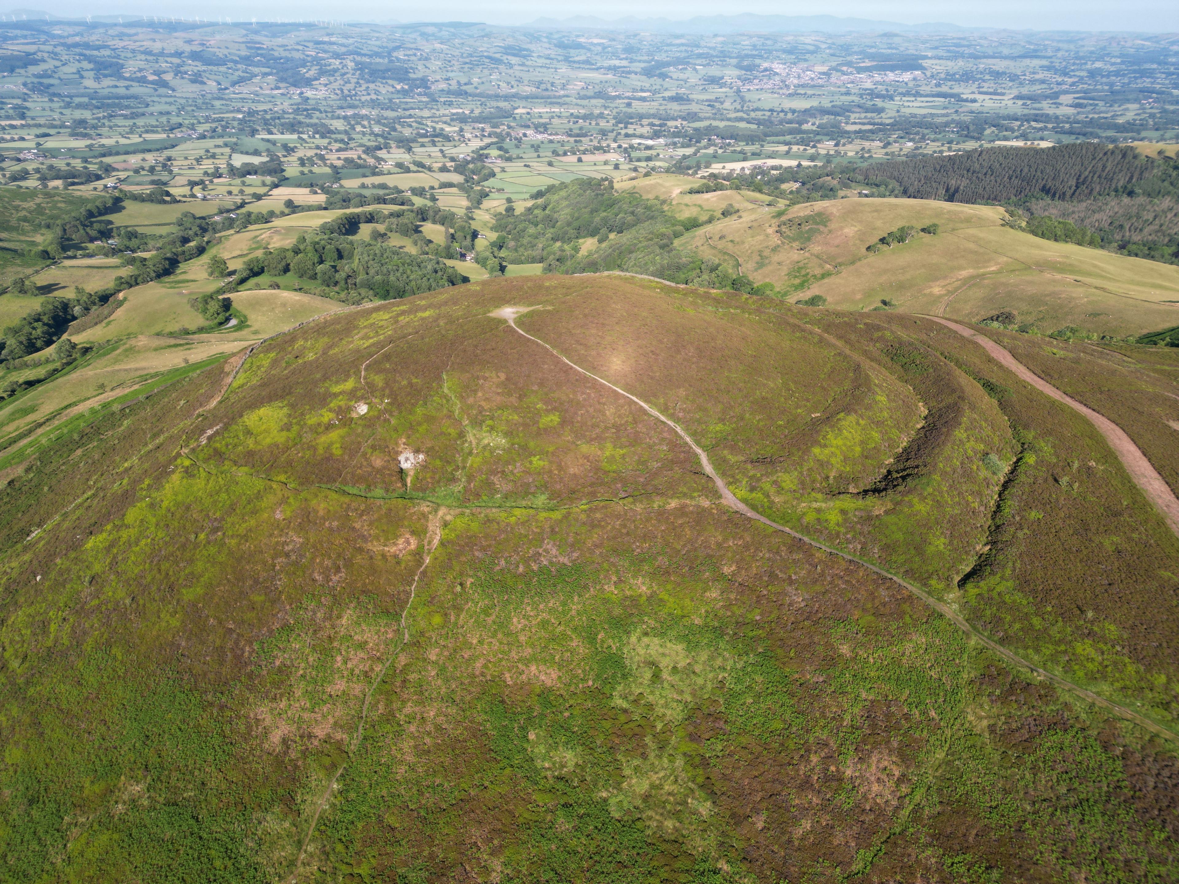 Moel Arthur photo