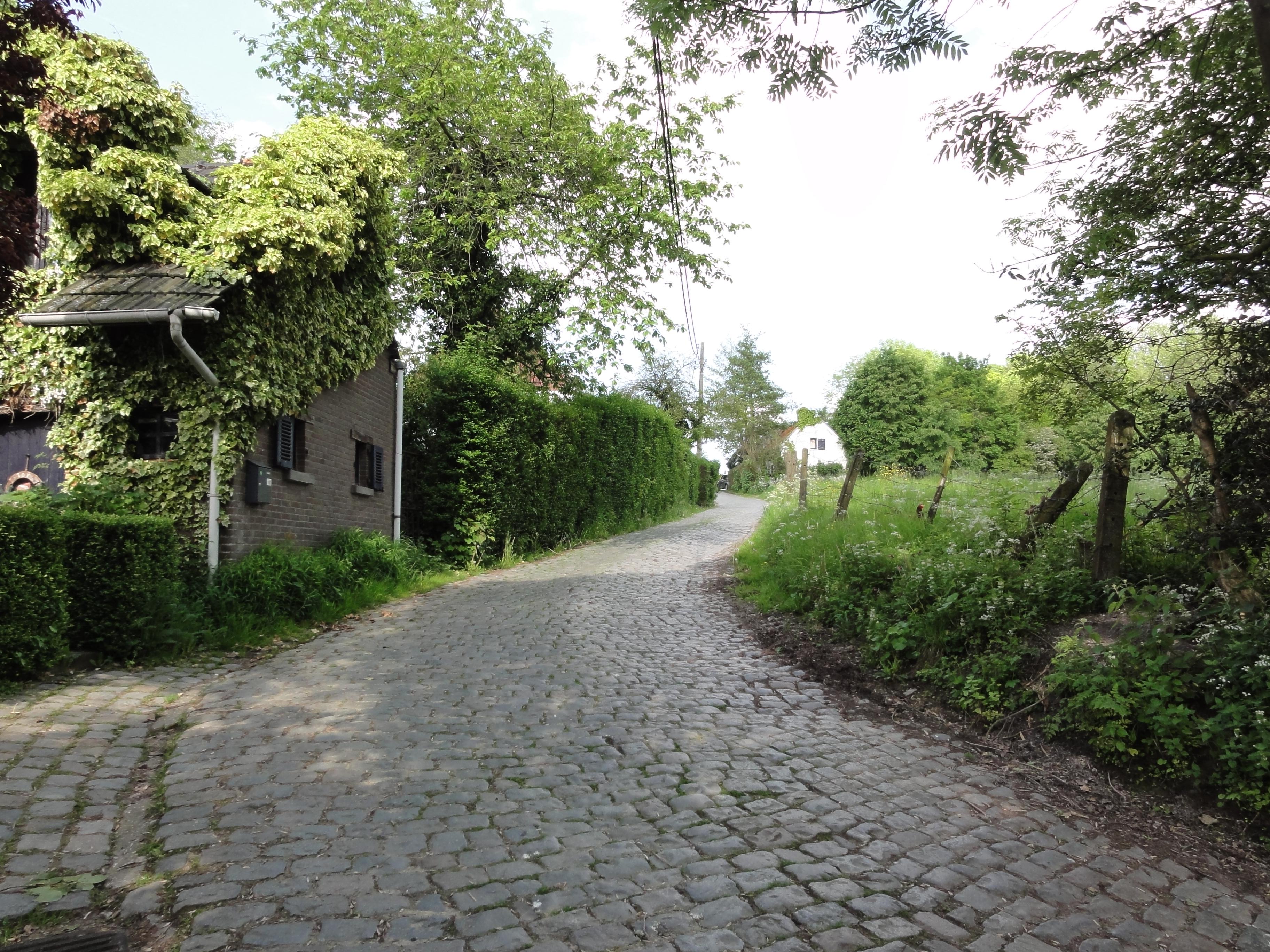 Molenberg photo