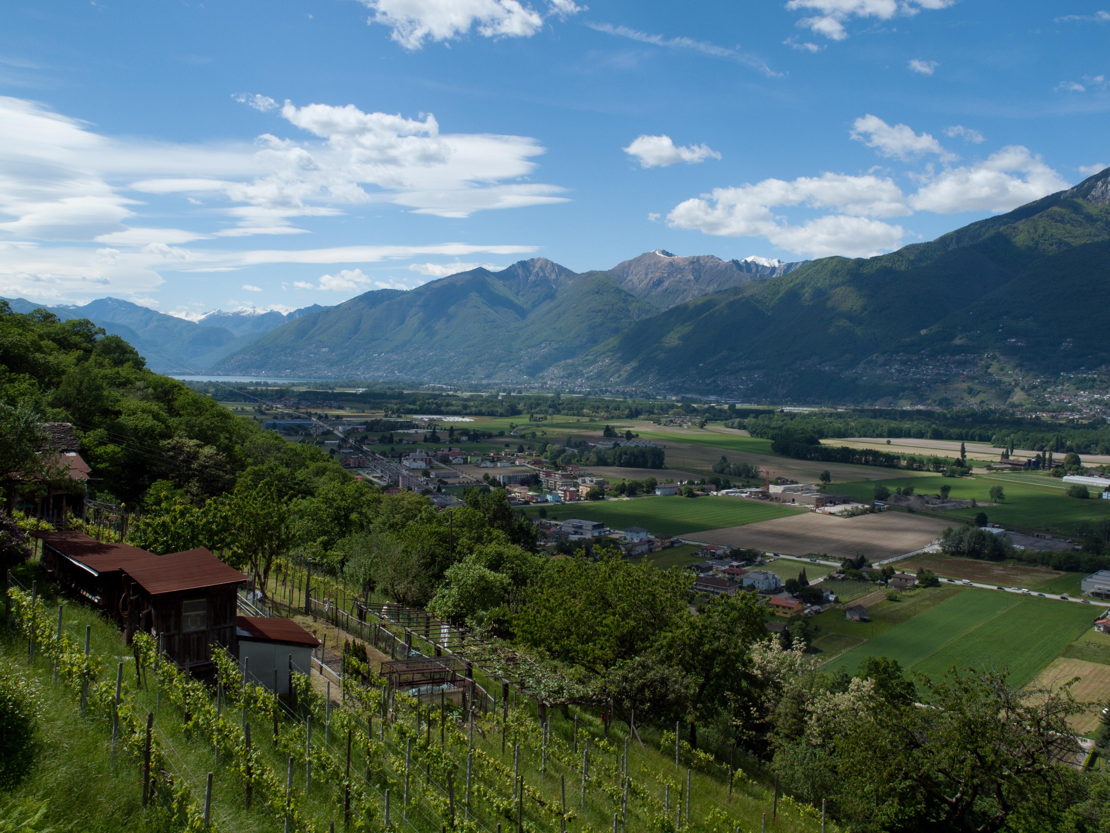 Monte Ceneri photo