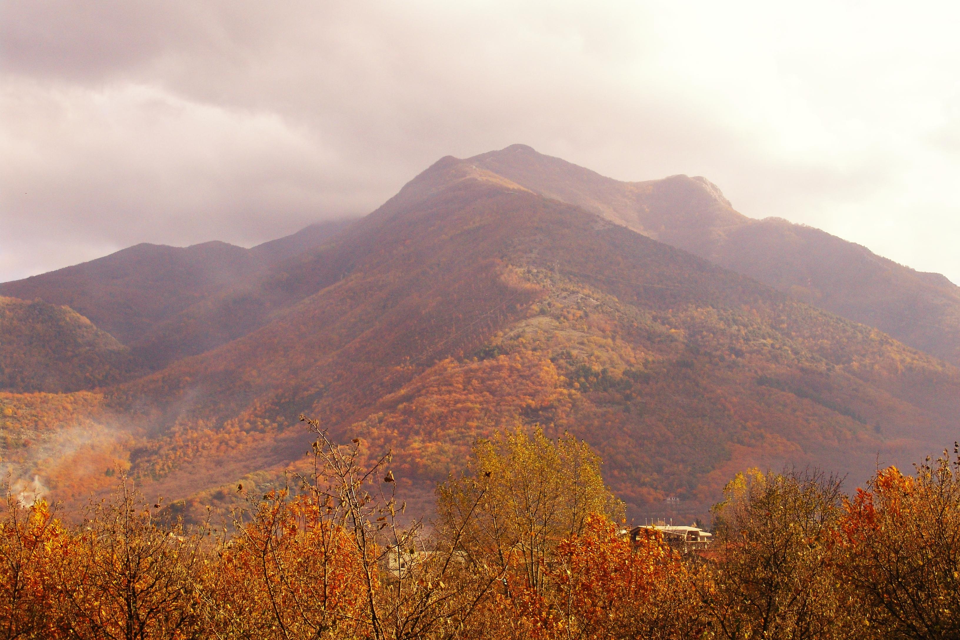 Monte Terminio photo