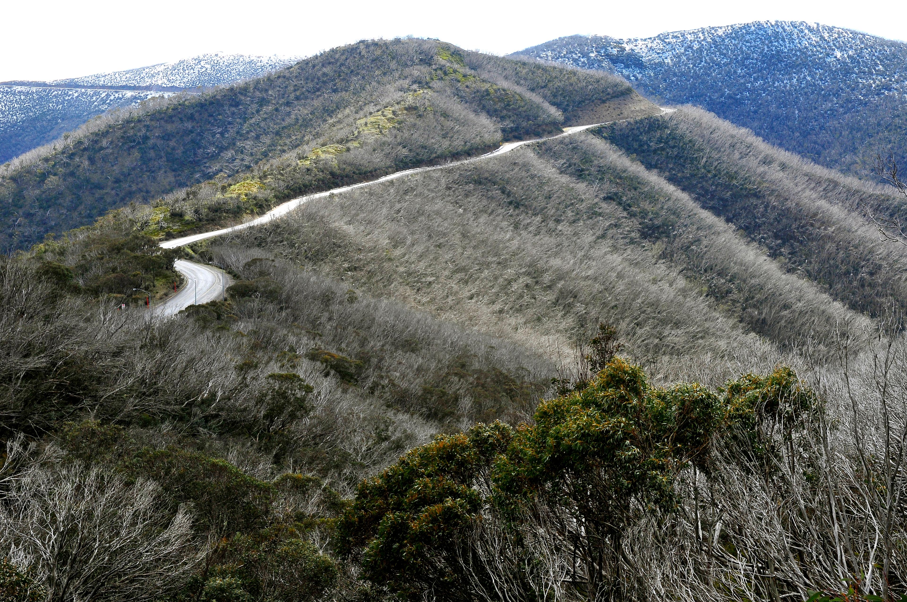 Mount Hotham photo
