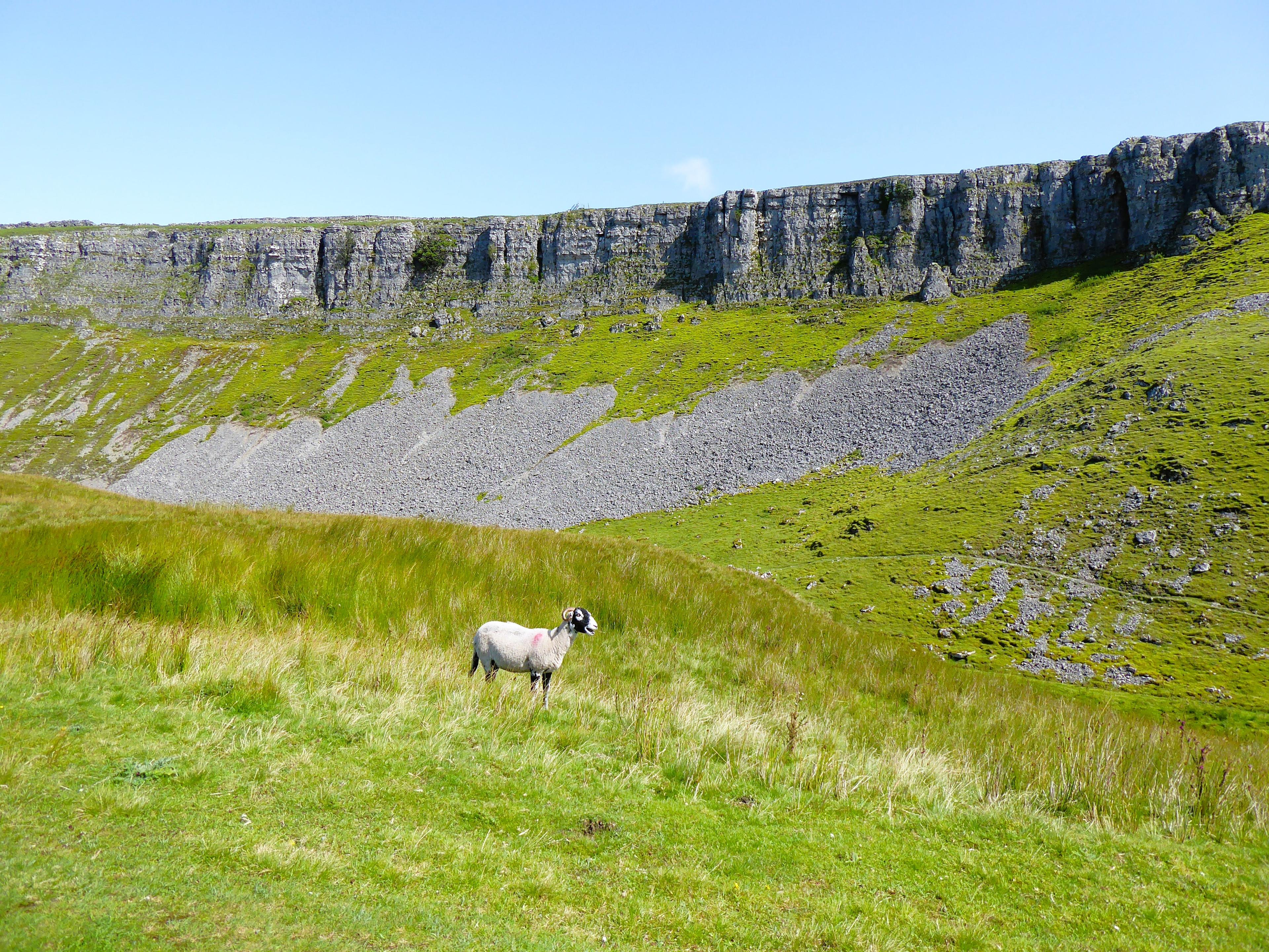 Oxnop Scar photo
