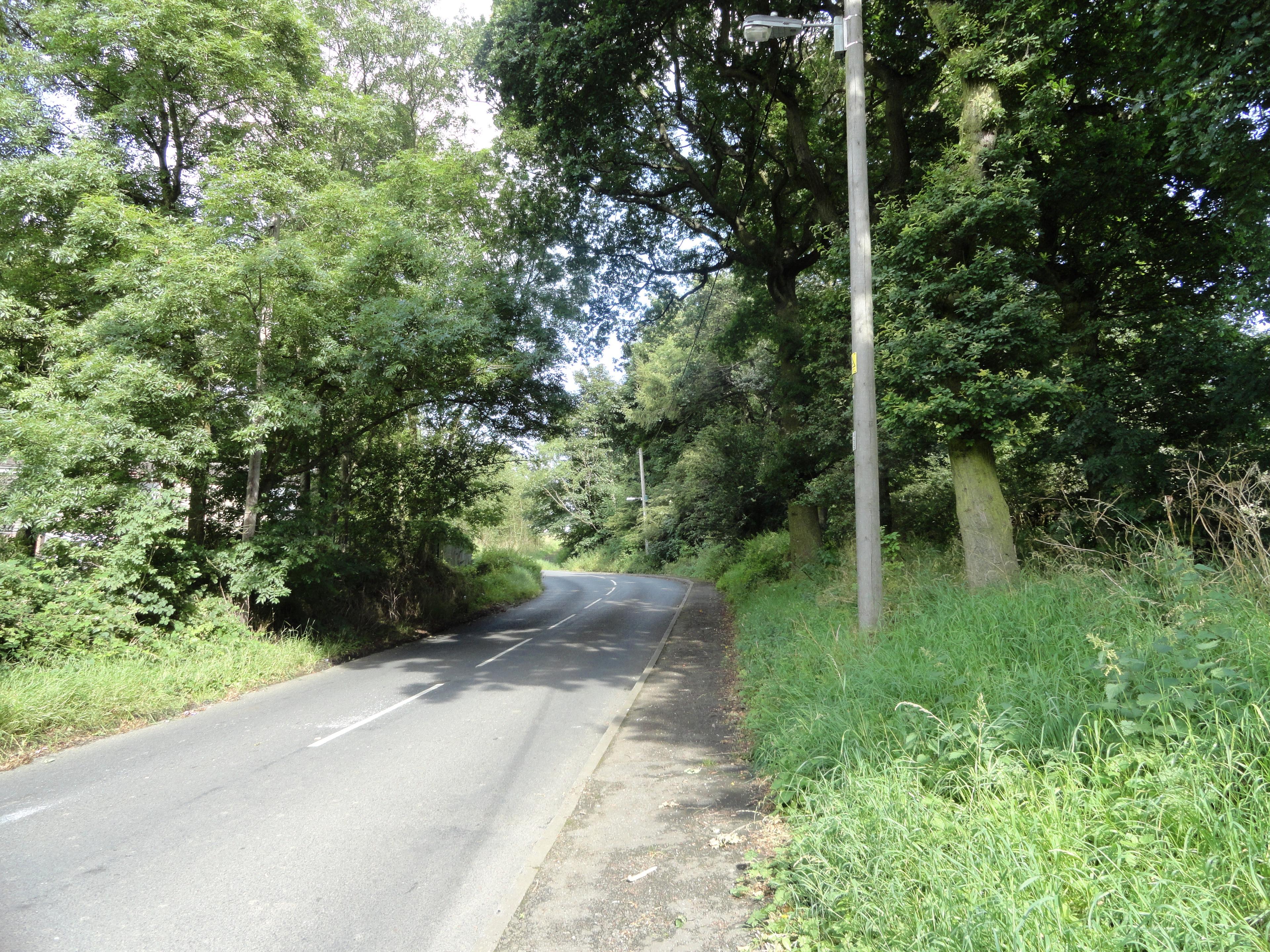 Peth Bank photo