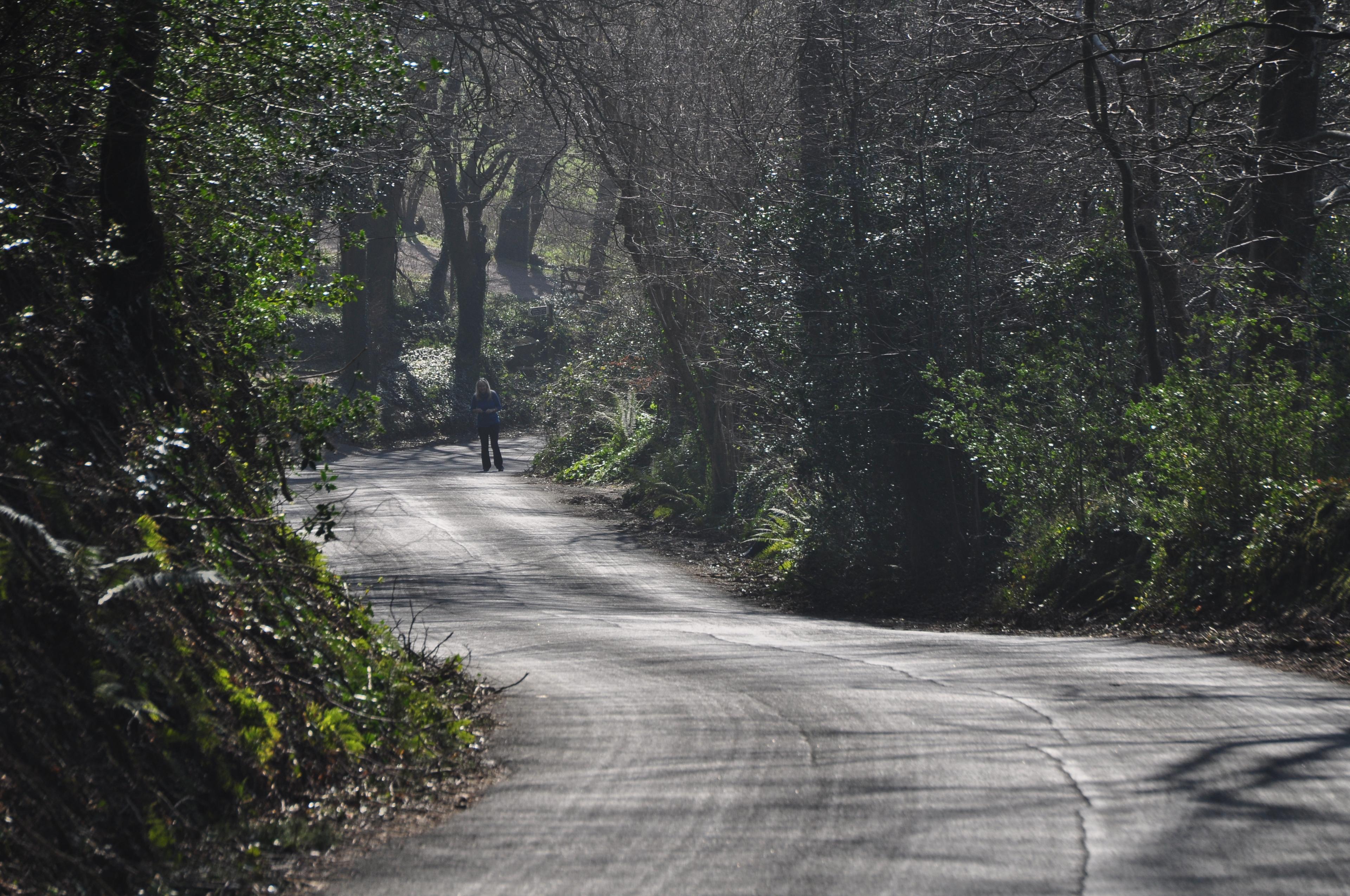 Salcombe Hill photo