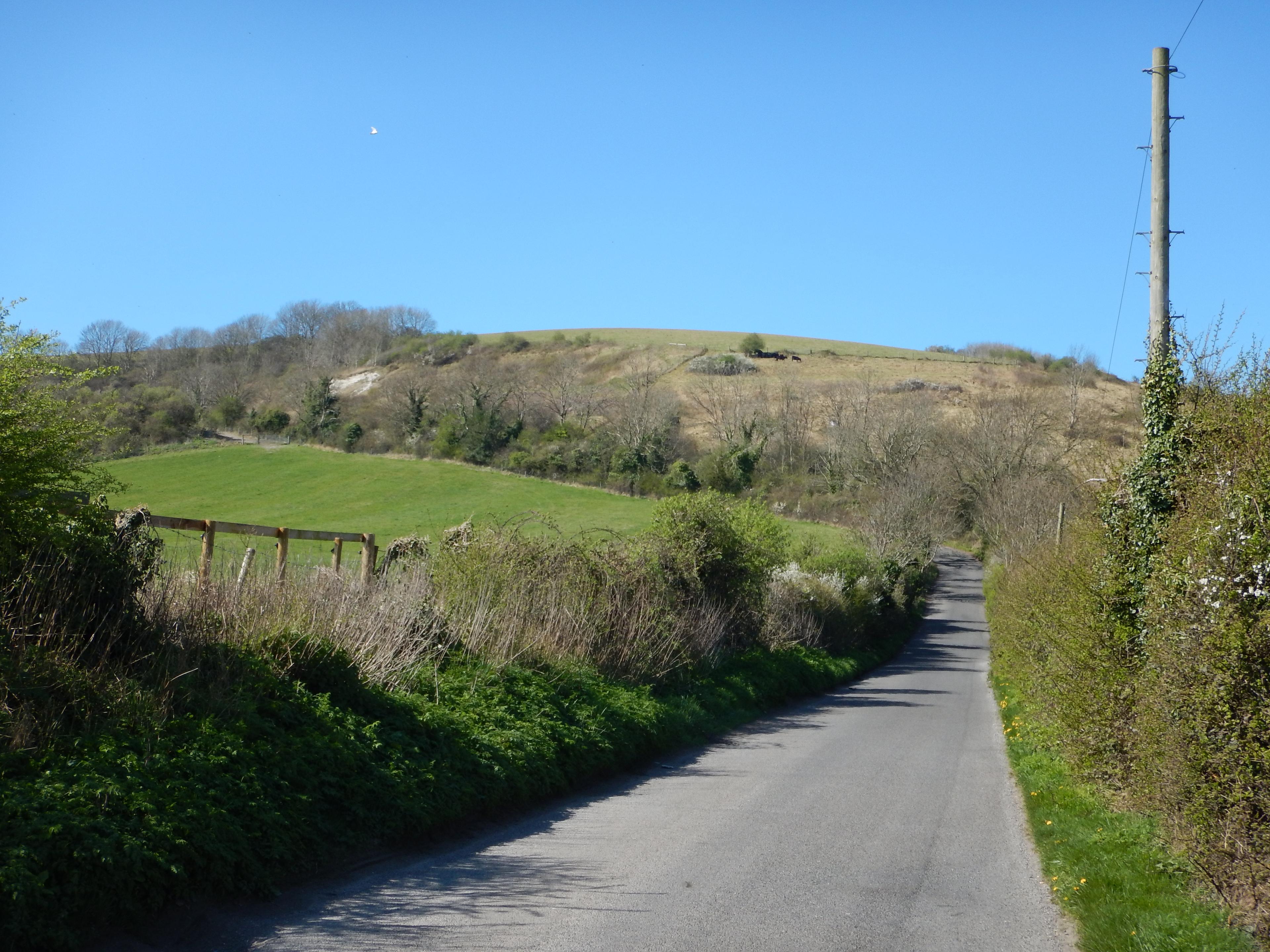 Steyning Bostal photo