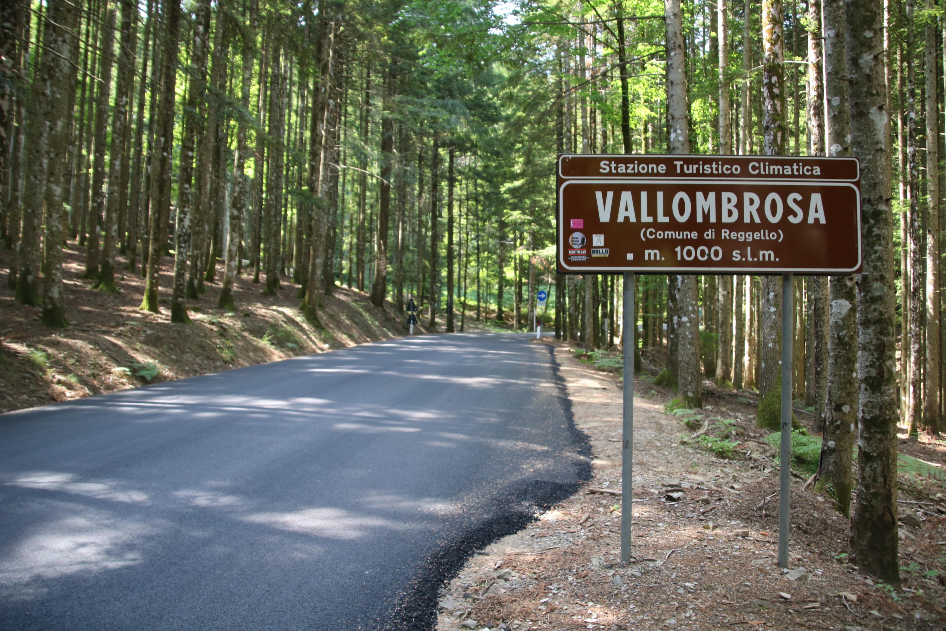 Vallombrosa photo