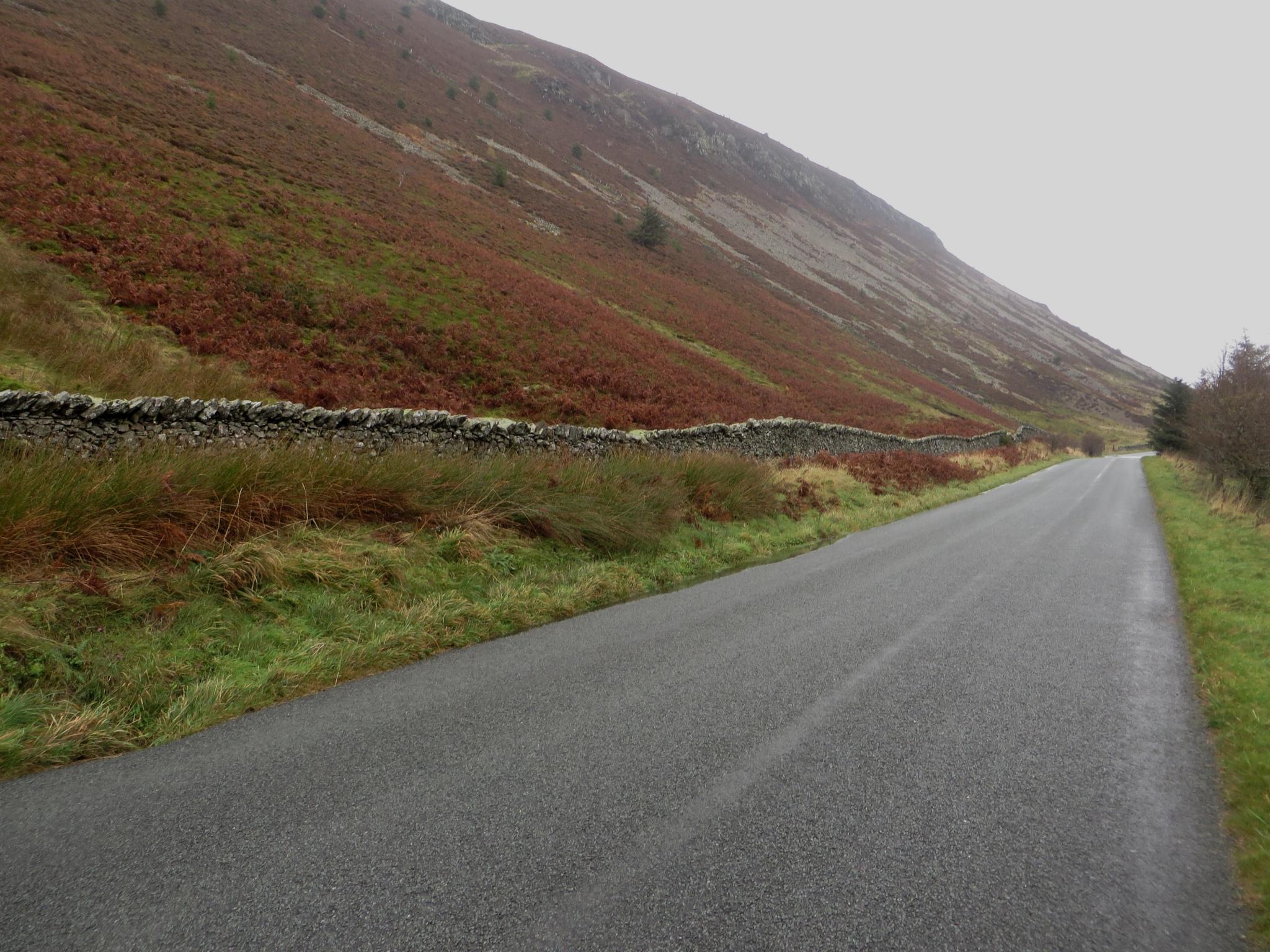Whinlatter Pass photo