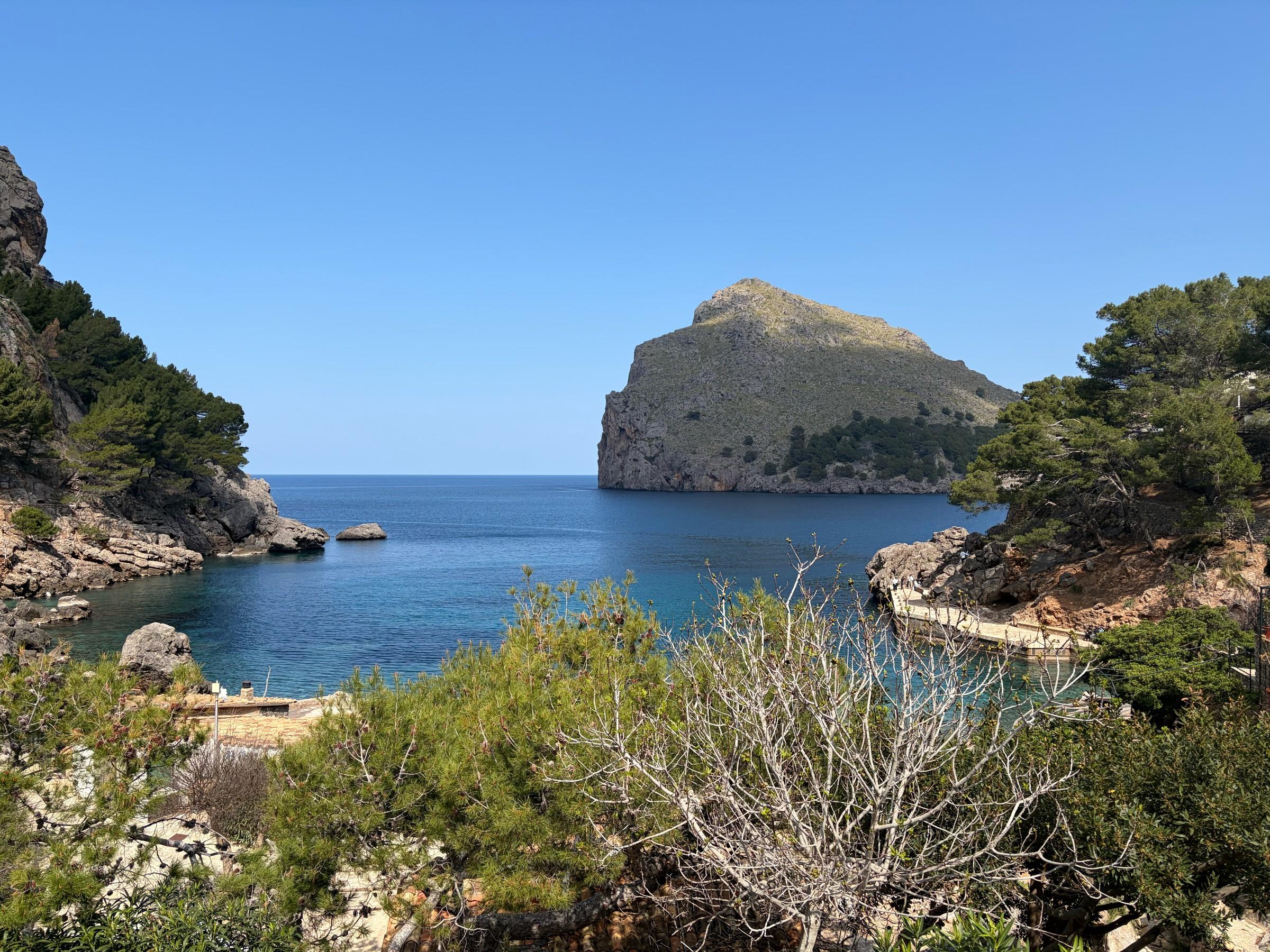 The blue bay at Sa Calobra framed by rocky headlands and pine trees