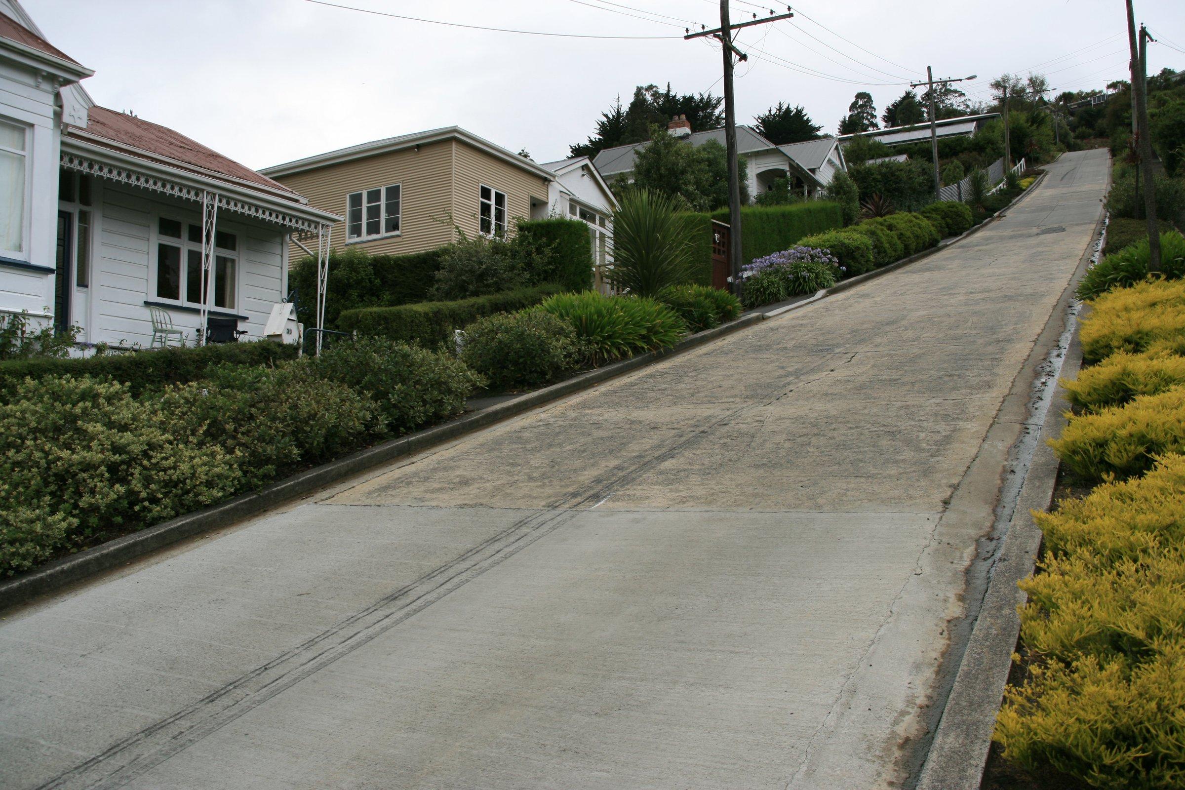 Baldwin Street climbing straight between houses and gardens in Dunedin
